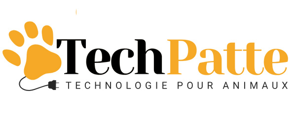 TechPatte